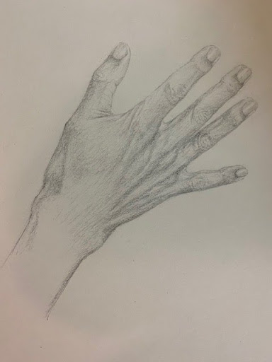 Twenty seven bones....