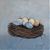 NestEggs